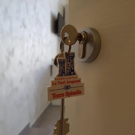 Le Torri Aragonesi Naples